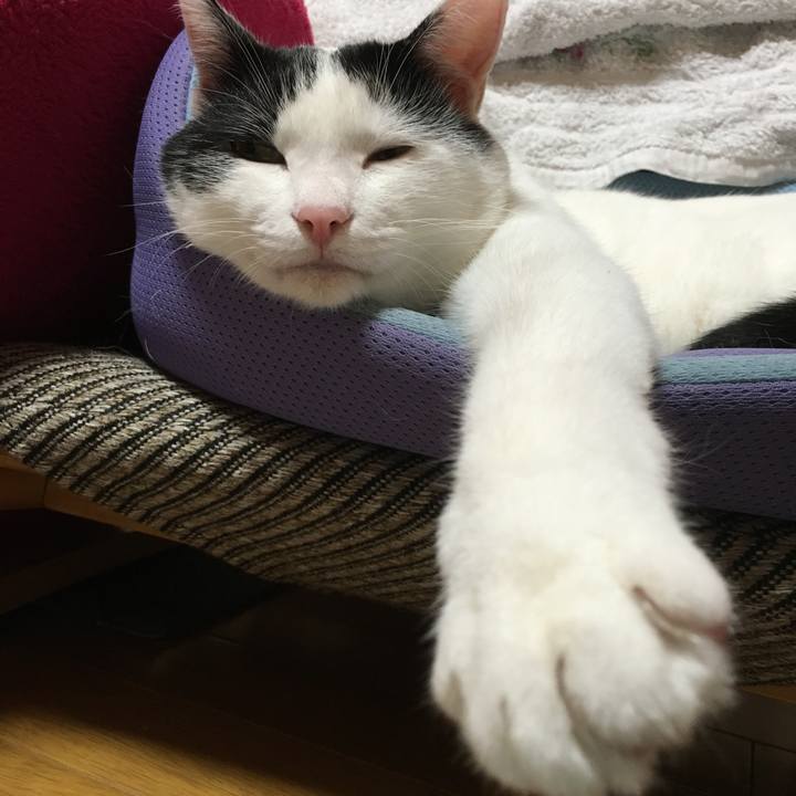 Dcefe191 02bf 4df4 aa56 ae275fbffb7b