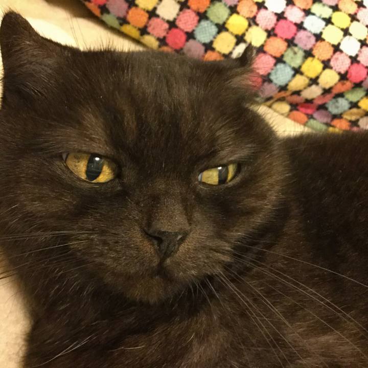 Dceffbf4 e7db 43ed a0a7 4d329500fd4e