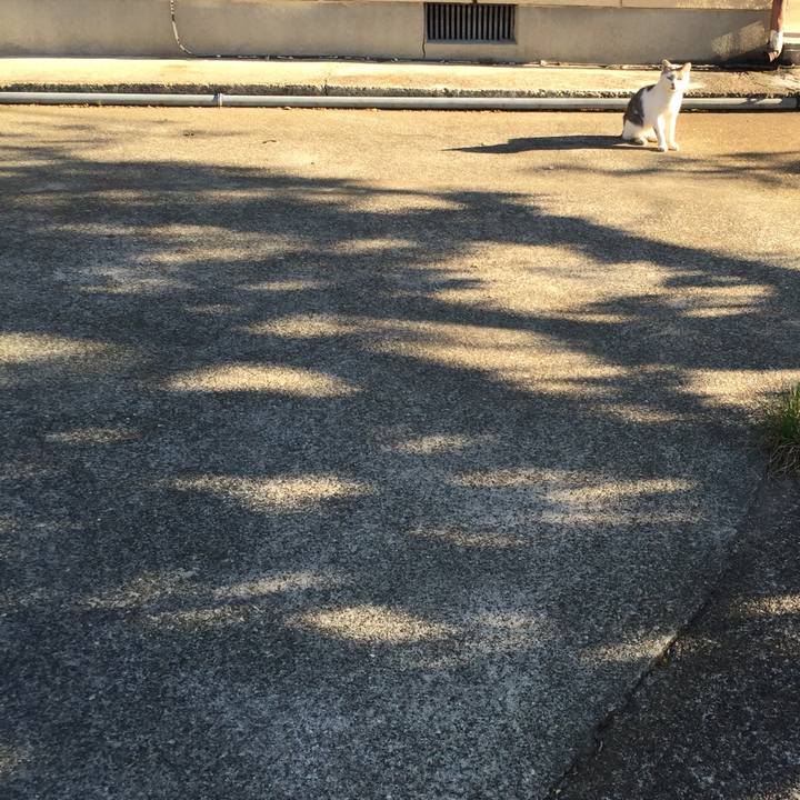 Dcf01722 9775 4a4e 9832 dcad7a06f214