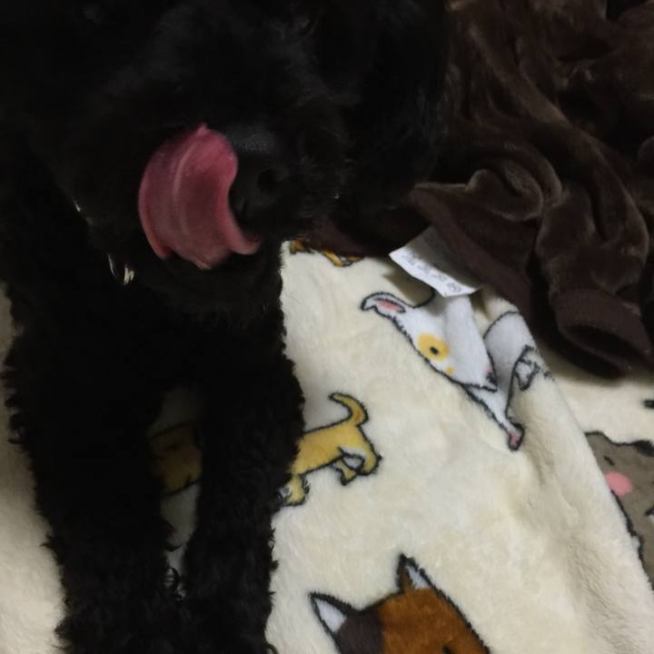 Dcf02998 4d5a 400a 955a d71cf7dfa0d0