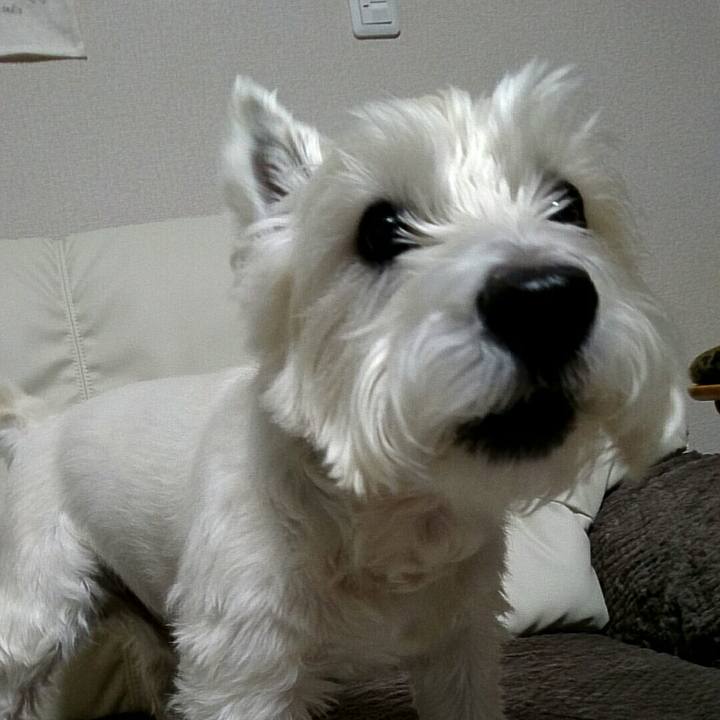 Dcf050d2 8241 49f8 905f 156e6a99285b