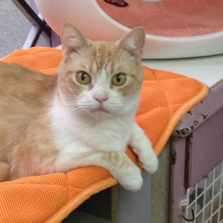 Dcf06137 eb65 4979 b4a9 58b7d962a92d