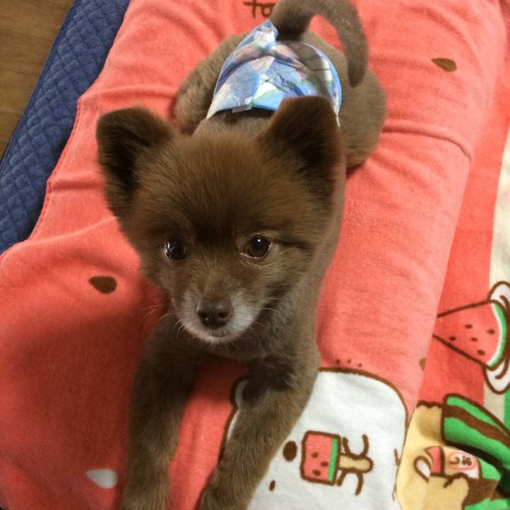 Dcf12373 16e6 4b14 88af 9a62ed401a5e