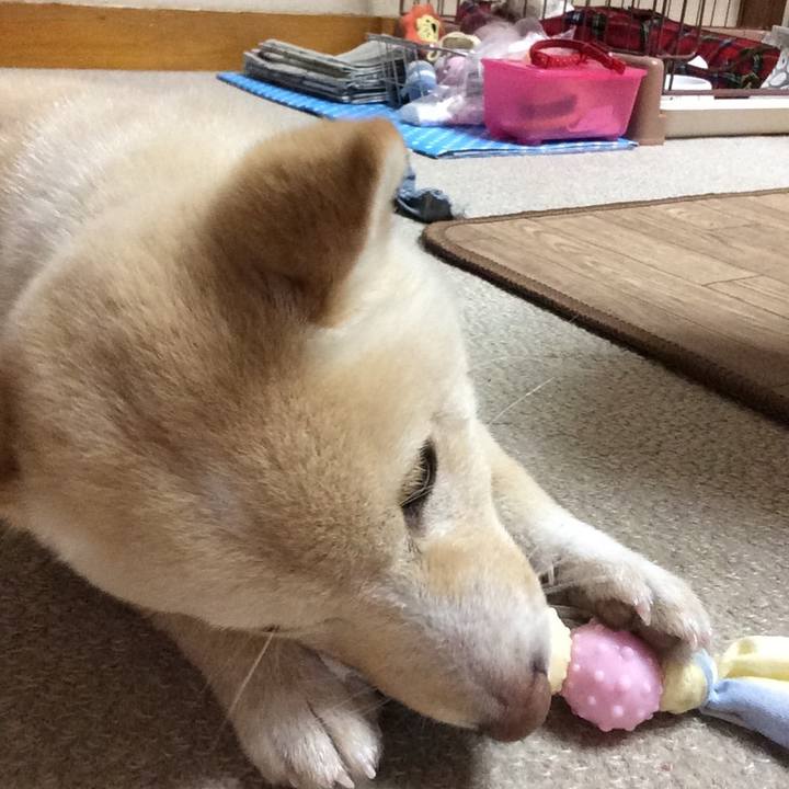 Dcf14079 3152 485f af3e 76253d46c46a