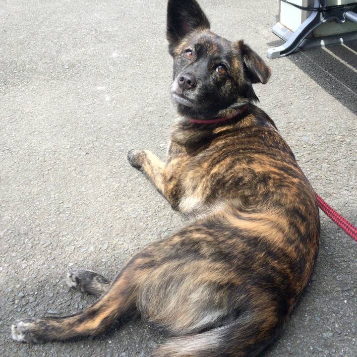 Dcf18492 4600 47ef ac47 1228a42d67d1