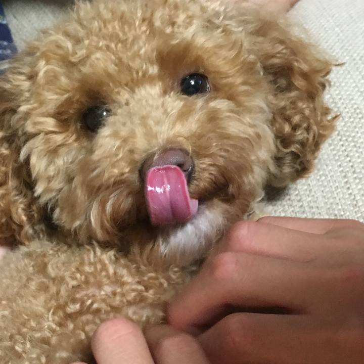 Dcf1ce95 bf04 4100 9499 0346668da30a