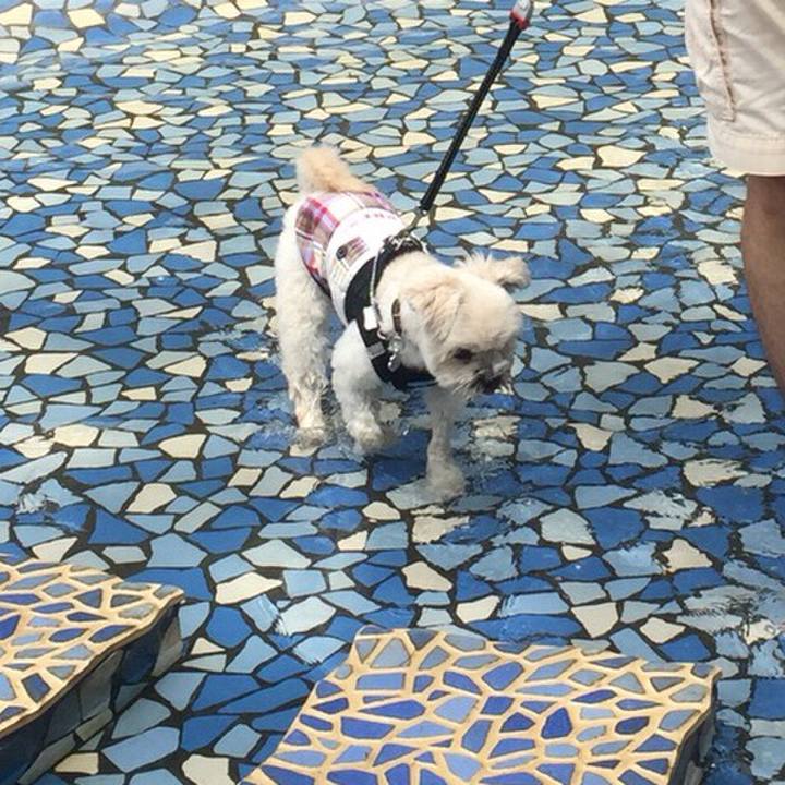 Dcf21a1d 6b77 4056 a9b4 e484efff1840