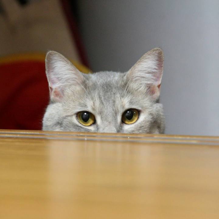 Dcf24ac0 3002 4327 bab5 f4bf04908cb7