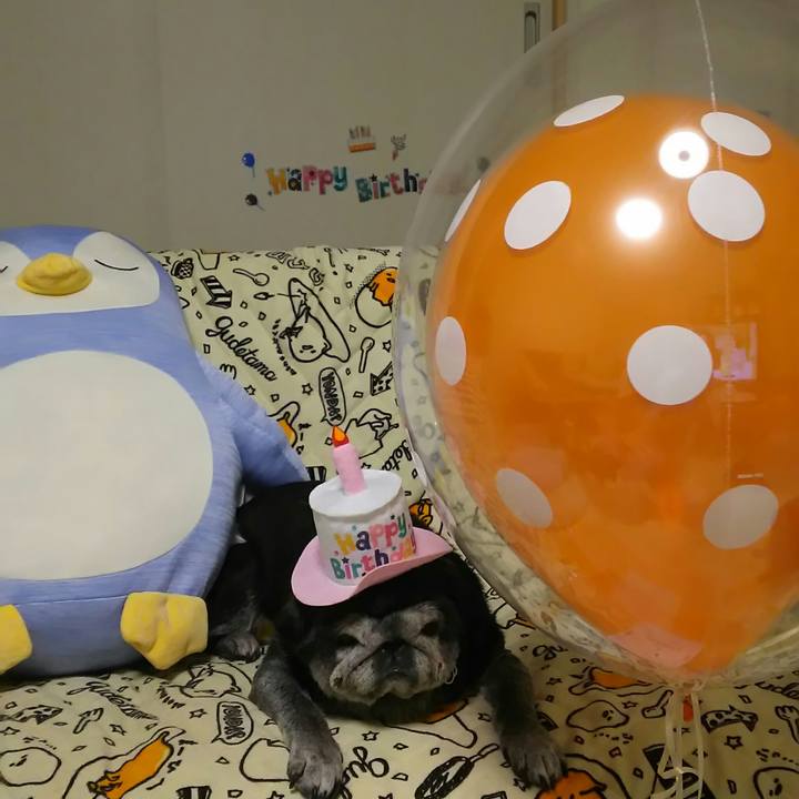 Dcf26b86 bc05 4e6f bfdc cc763109f309