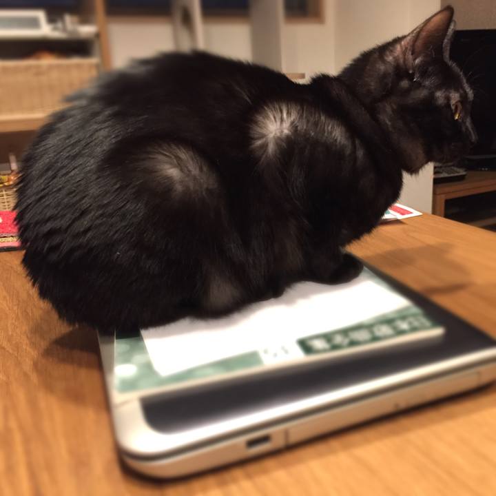 Dcf2a225 2f81 4923 9242 9e242d2d5a0a