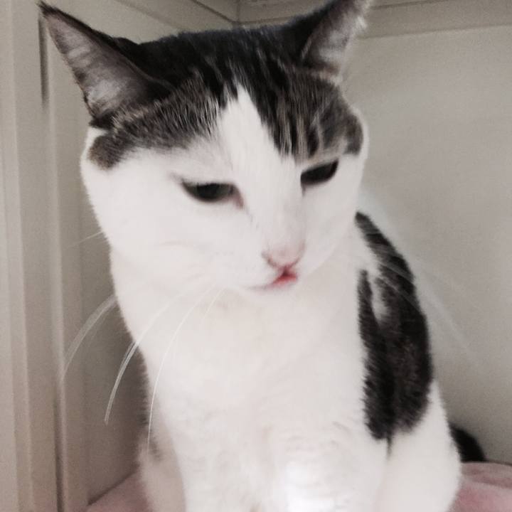 Dcf2cbab f1bb 40f8 92fe 2a1c4e695f67