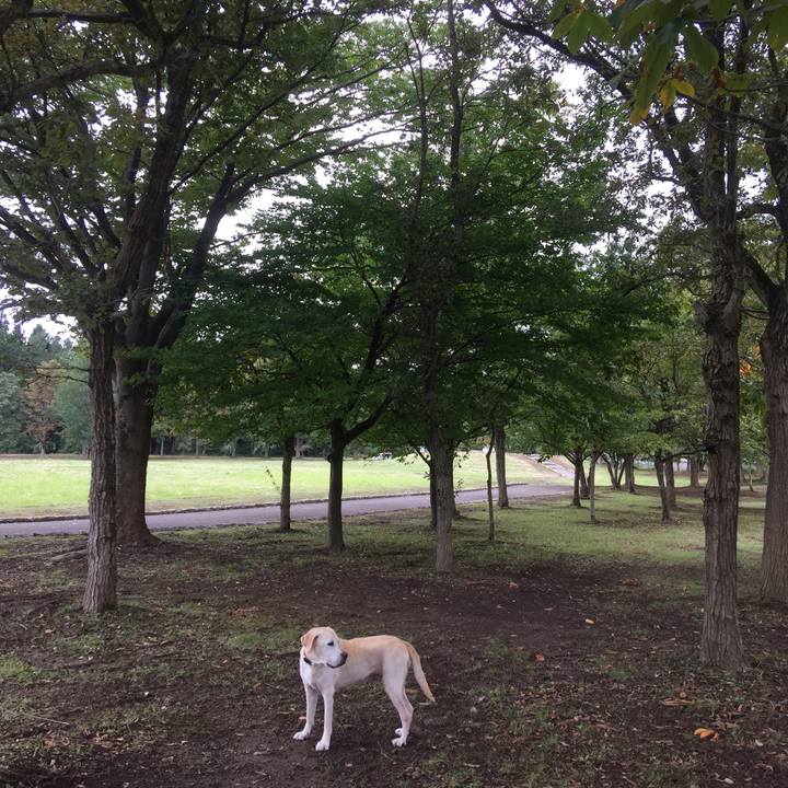 Dcf3159e 7550 4c3b a32b b549e0dad52b