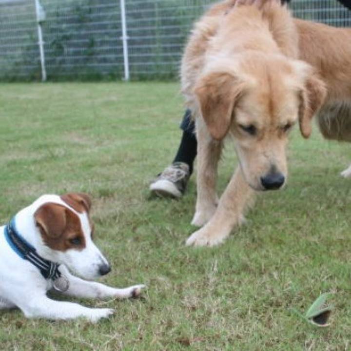 Dcf32ae2 a090 4485 aeb7 74b012d49129