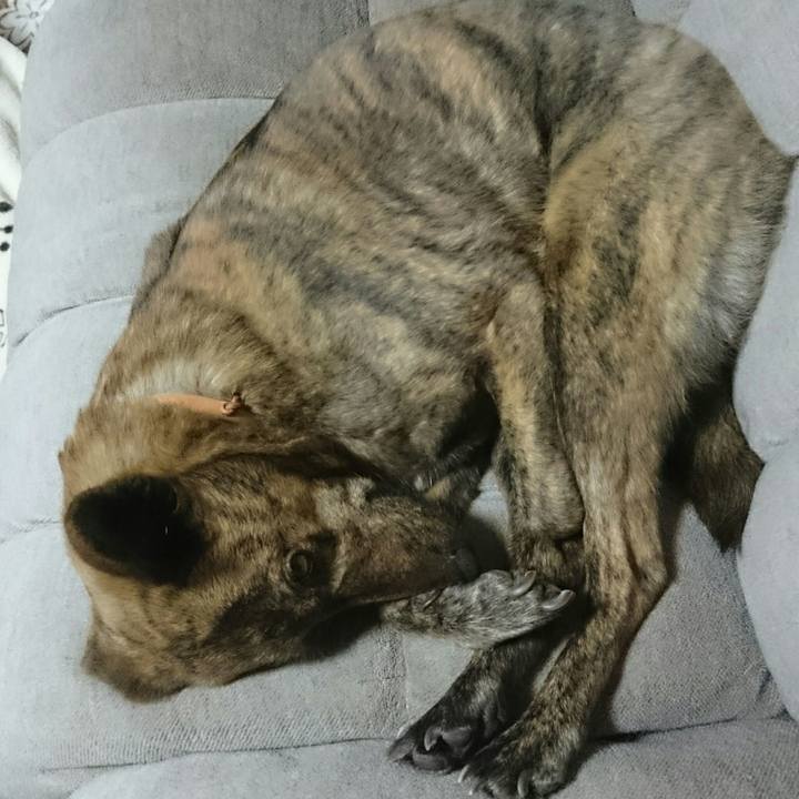 Dcf35aea 5310 4a1f 94e5 023980b85b80