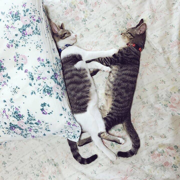 Dcf3b096 1df4 42c9 8a68 f27e1f0a7ffd