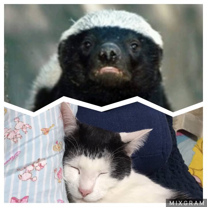 Dcf3b96e 297b 4edd a9bc f0f1525fbb66