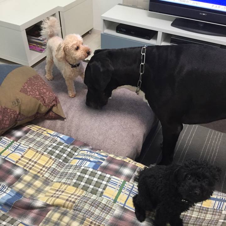 Dcf3c0a1 68a0 46c5 9315 54ffb1521b95