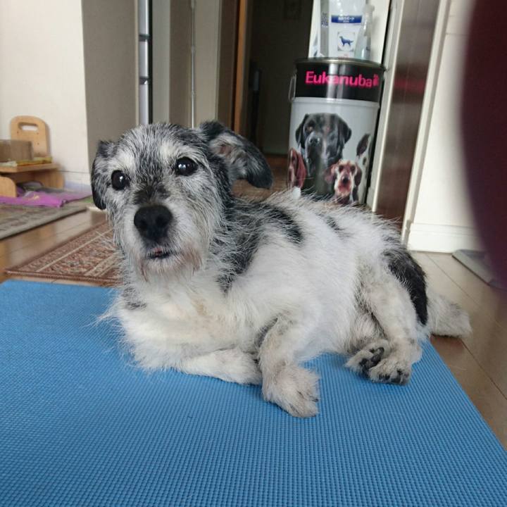 Dcf3ffea 53e3 47aa b44c 3c078c32a15f