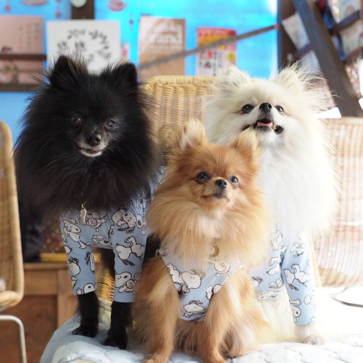 Dcf42844 47a4 4336 a9bf e74152ab0acb