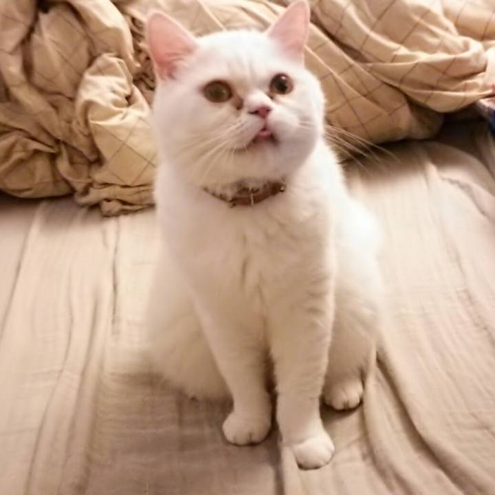 Dcf45804 7721 43ba 83eb 35902344c17b