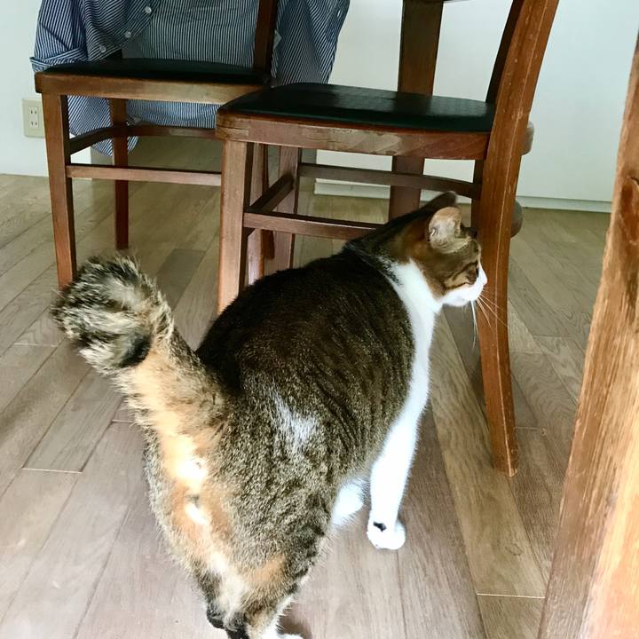 Dcf4745a cdca 43ea ad1e f0101ad4f211