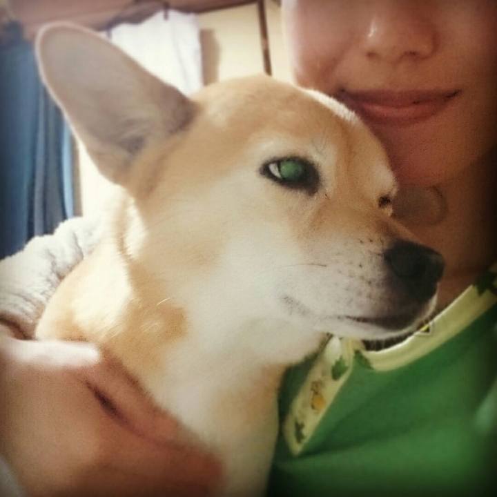 Dcf47ae4 67df 405a 94be bac04a83c9f9