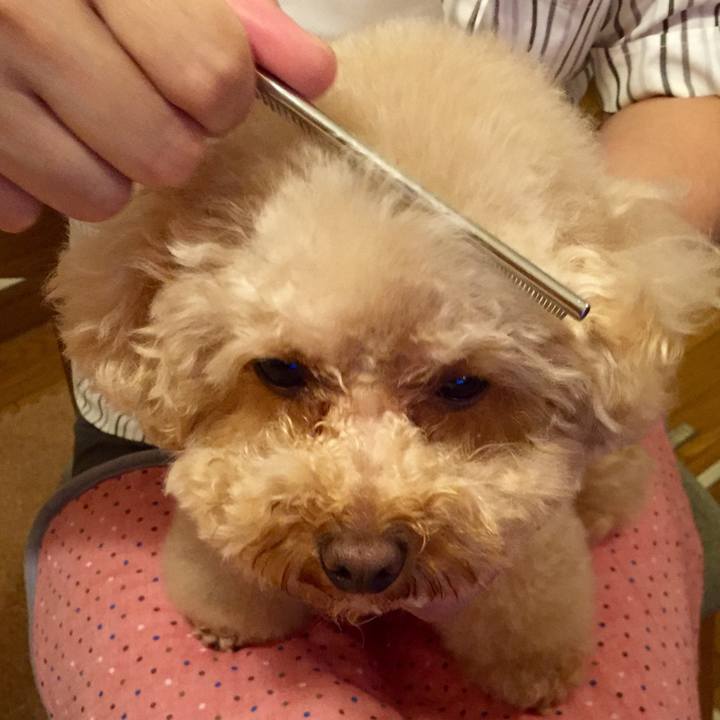 Dcf4d976 46c8 48ee b81b f5d5311c000d