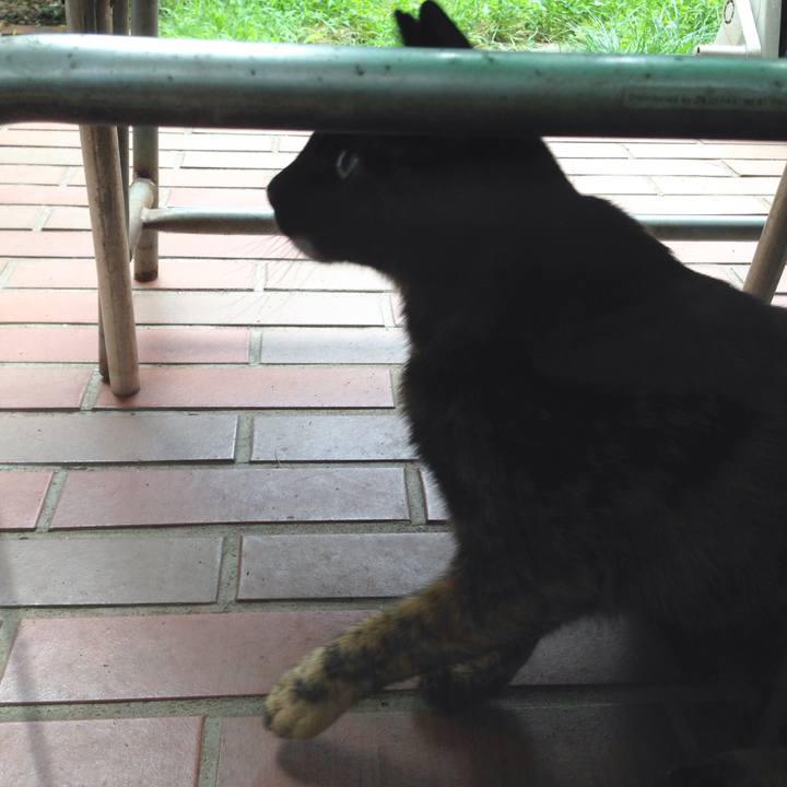 Dcf4f75b 52a8 4b2d 9301 d1fd0c09b551