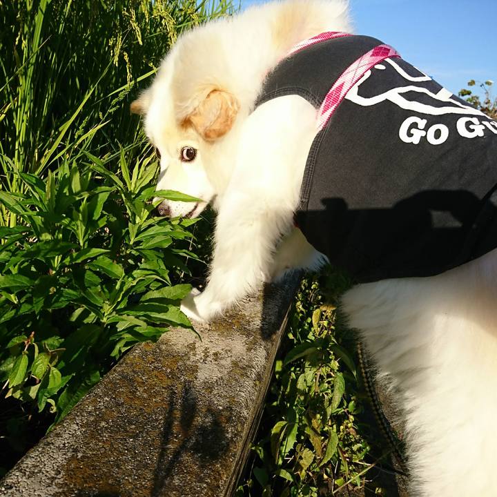 Dcf4feaa 62e0 4f40 b46b afbdacce83d1