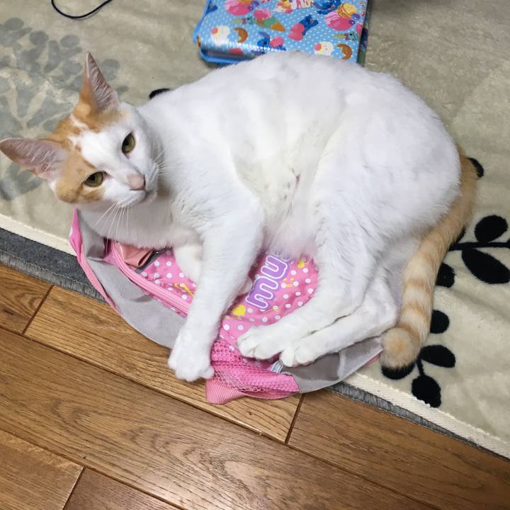 Dcf51ee4 d931 4e90 8714 d2691ec0067b