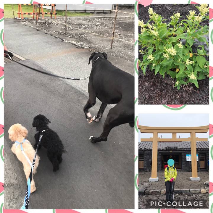 Dcf5422c 5490 4796 b068 9f2eed9e37c4