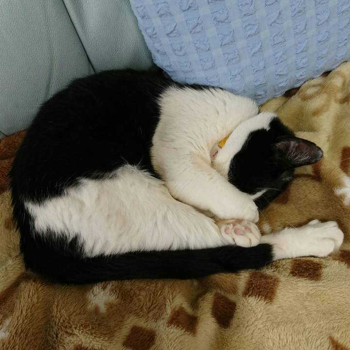 Dcf5aa57 fab2 48b3 a93d 1bf89d289b7d