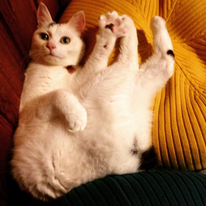 Dcf62c65 0d54 46b5 9c04 0cd45c11db06