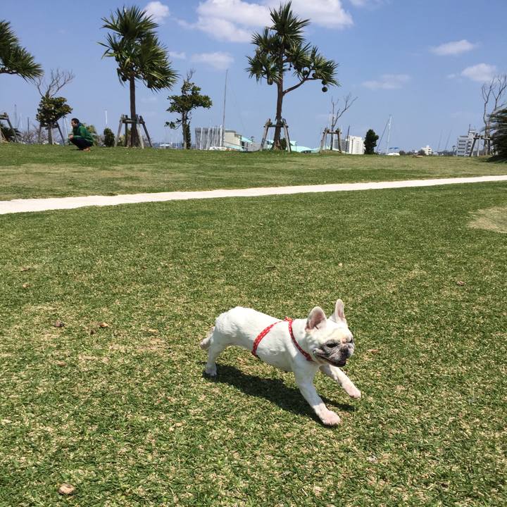 Dcf6bde8 ba90 4fe9 a2b3 d1d7d918a767