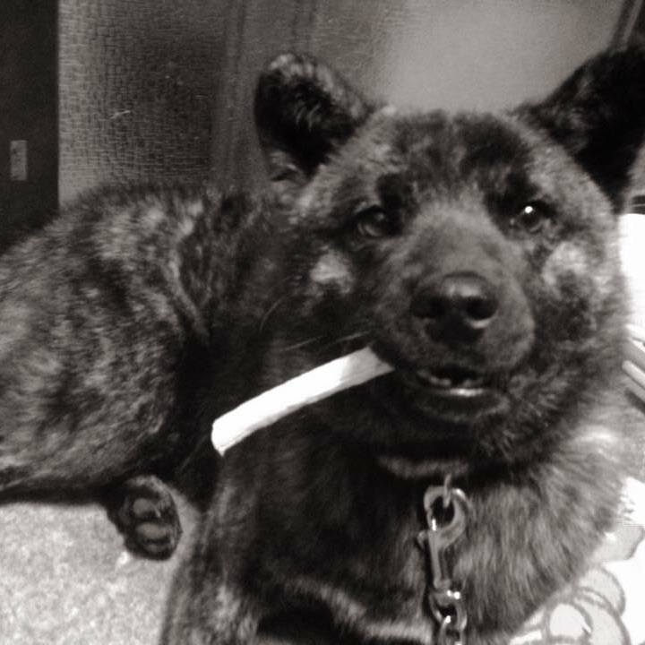 Dcf70838 e8b0 409e 98ca 74e93fb46e93