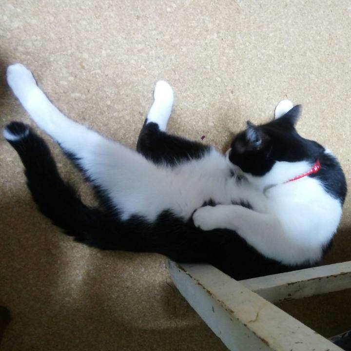 Dcf71f9c 8b9e 4561 b310 d2e374e59d4e