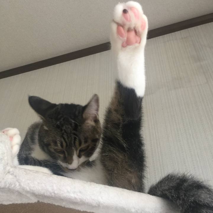 Dcf727ea 25d1 418d 9270 bbbd5b62f658