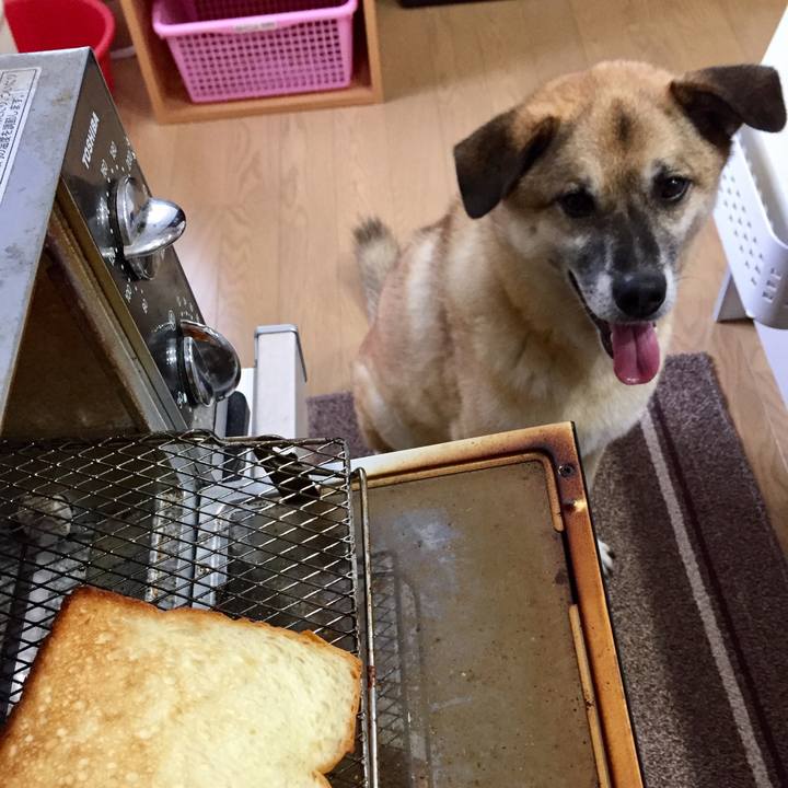 Dcf74ffe a4f1 4d60 9949 b342e934e199