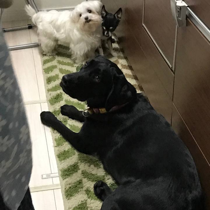 Dcf792be a18a 47ab b2c8 4ef622597d74