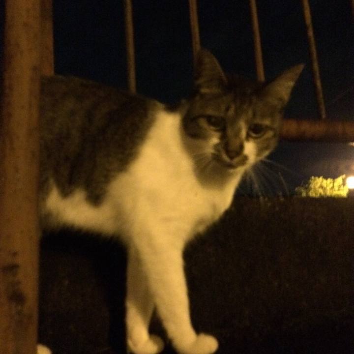 Dcf7d3aa e9f2 448b b127 52104d6f411d