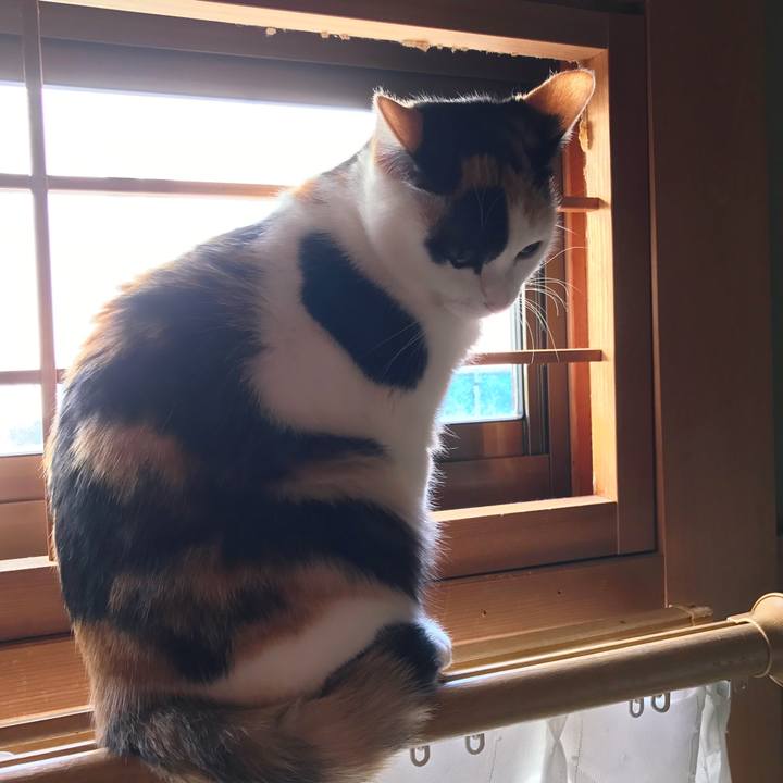 Dcf8005a d0d4 4b59 9c13 c29d86bfb18a