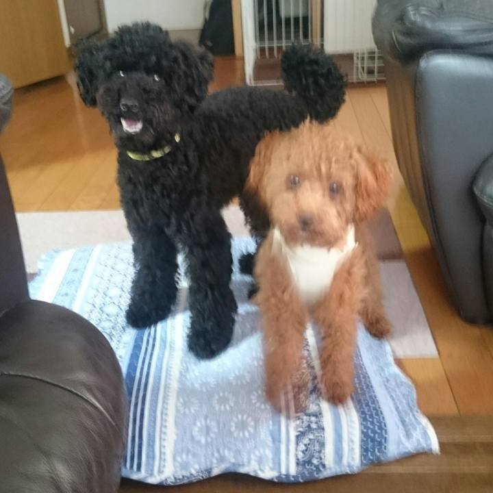 Dcf85628 6cad 447e 8ce6 7ade59ae399d