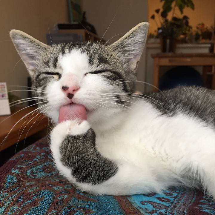 Dcf8a413 ad40 4f6e ac1d d21cdb7b461e