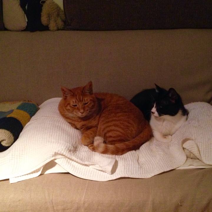 Dcf8db44 15b7 4fe7 9428 76106fc5f821