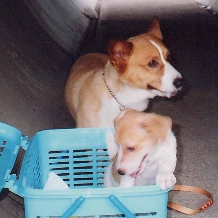 Dcf956d1 be4b 4d56 8303 a10e45963d59