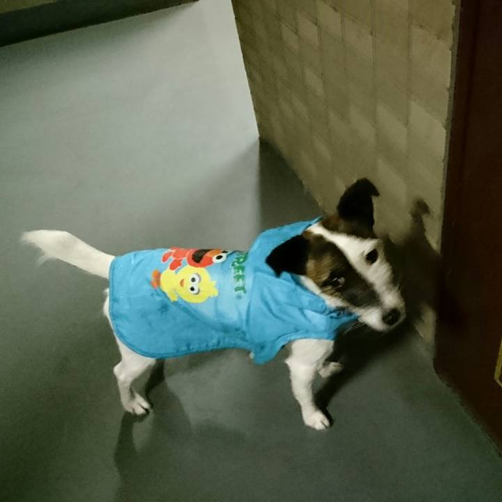 Dcf96709 a1b2 404a 9b3f 89eb9e3021a9