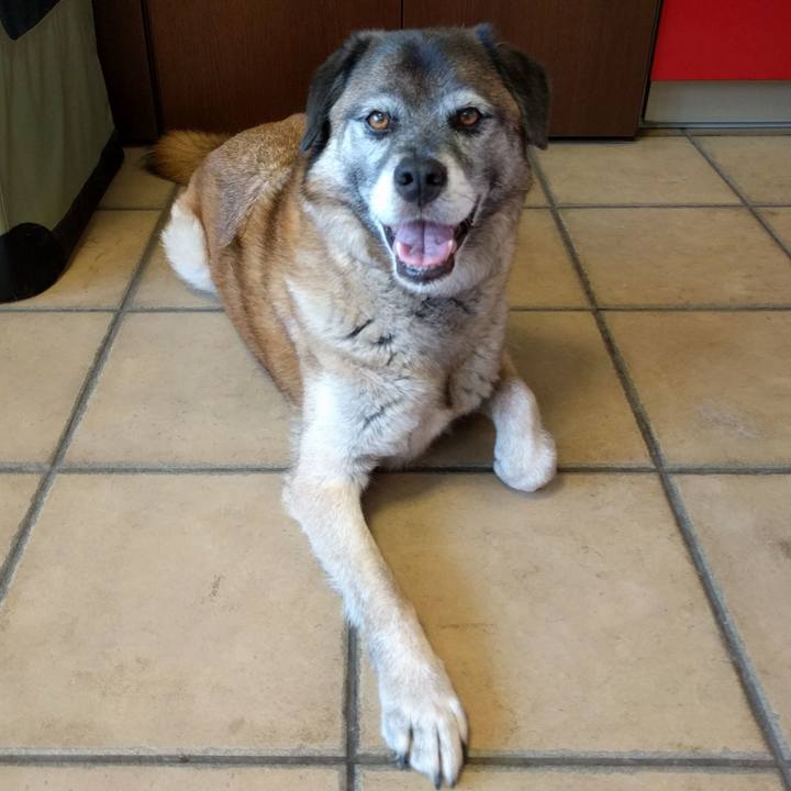 Dcfb1904 cb8a 4cc8 9b68 b74bafc98e5f