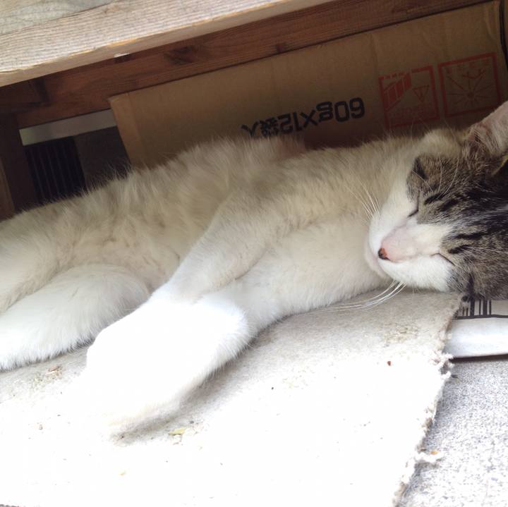 Dcfb7fb2 eab9 4e87 8995 f56a54fde7bb