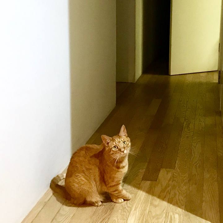 Dcfb94d8 91d1 46d4 8136 cdf26f2c281a