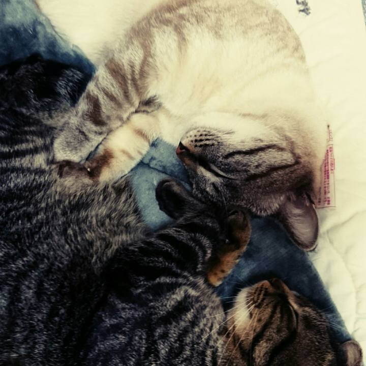 Dcfbefd3 216e 4d81 834a 59cee9757d3f